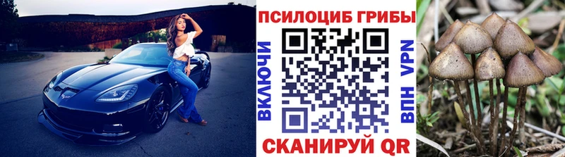 Псилоцибиновые грибы Psilocybine cubensis  Пересвет 